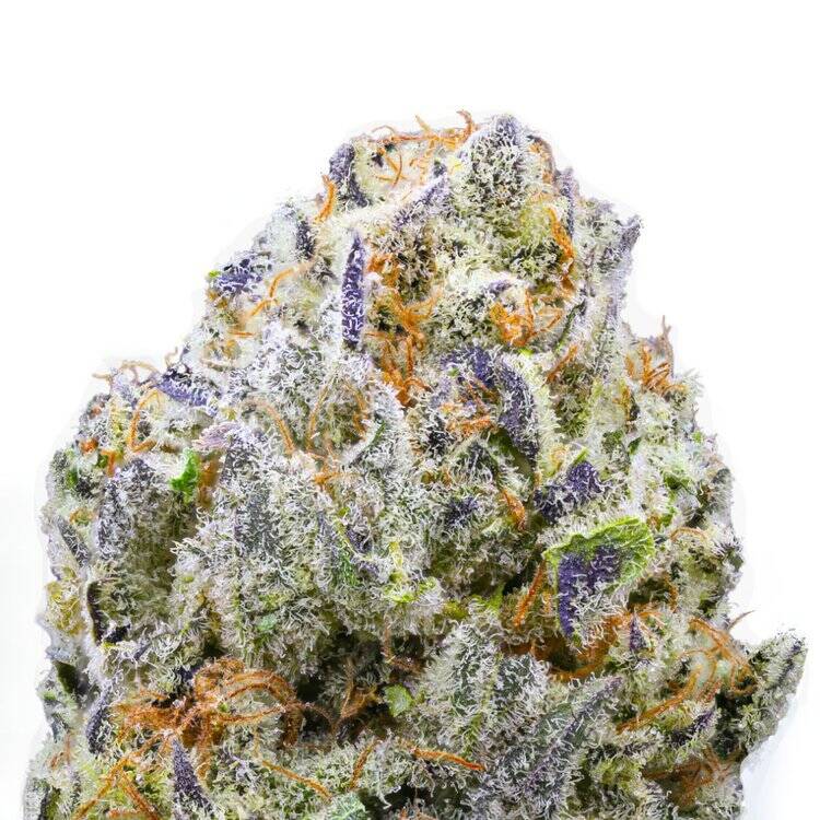 Exotic Puff & Stuff | #1 Smoke Shop Near Texas State University  San  Marcos TX
